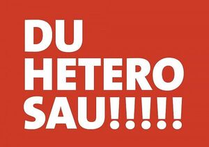 Die Vorderseite einer Postkarte, weißer Text mit rotem Hintergrund, mit Spruch &quot;Du Hetero Sau!!!!!!&quot;
